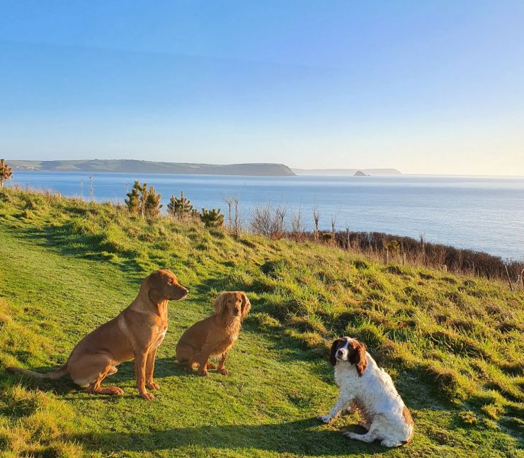 Morning view of Gerrans Bay