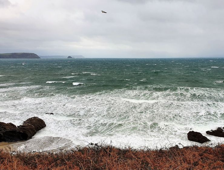 A cold winter morning at Treloan