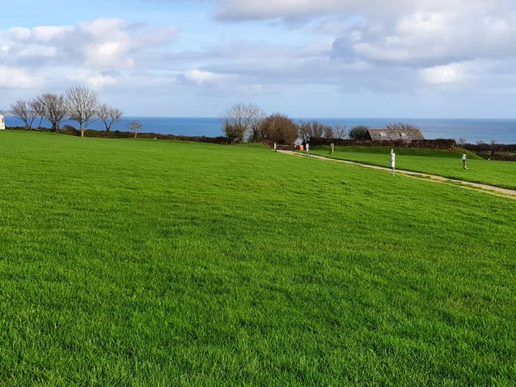 Sunshine returning to the campsite